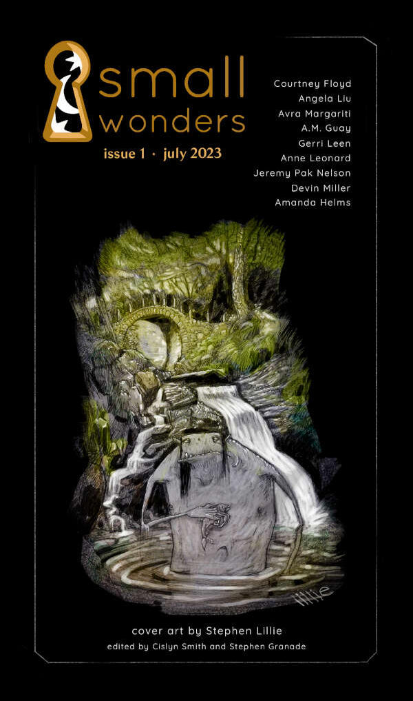 Small Wonders Issue 1 cover.