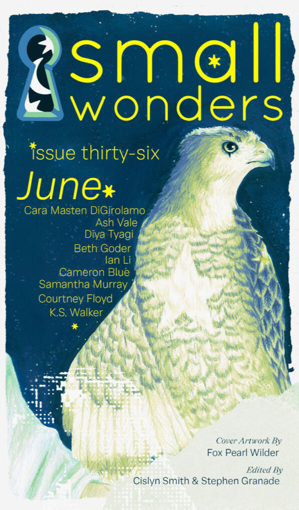 Cover for Small Wonders Issue 36. Blue and green colors with a falcon in the foreground, feathers superimposed with stars.